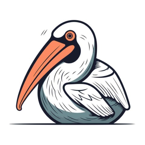 Pelican vector illustration. Cartoon pelican isolated on white b