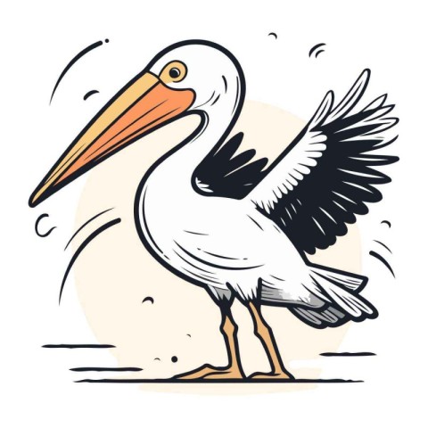 Vector illustration of a pelican on a white background. Hand dra