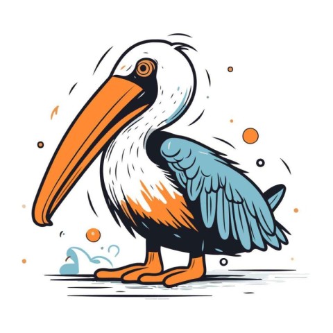 Pelican. Hand drawn vector illustration isolated on white backgr