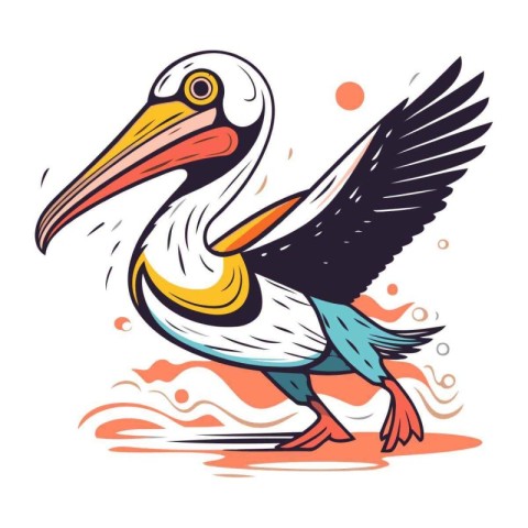 Pelican vector illustration. Cartoon pelican isolated on white b