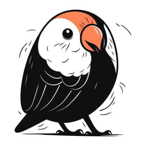 Parrot on a white background. Vector illustration of a bird.