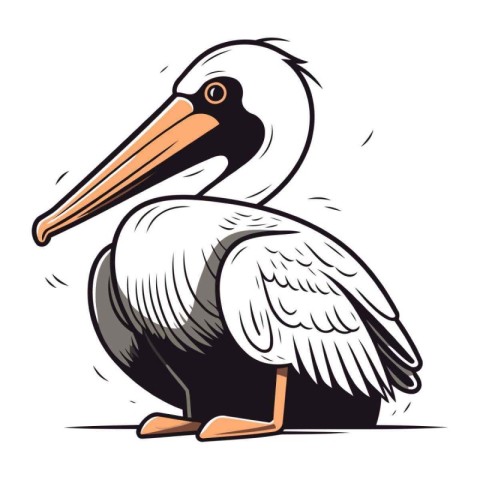 Pelican isolated on white background. Vector illustration for yo