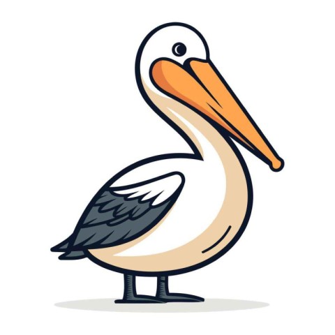 Pelican vector illustration. Cartoon pelican isolated on white b