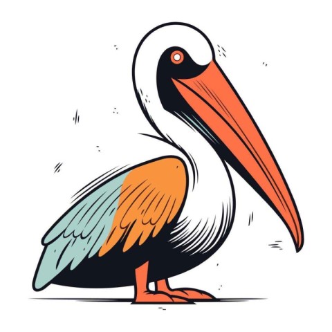 Pelican vector illustration. Hand drawn sketch of pelican.