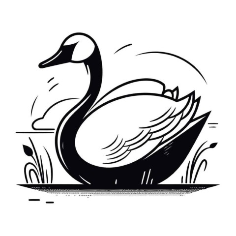 Black and white illustration of a swan on a lake. Vector image.