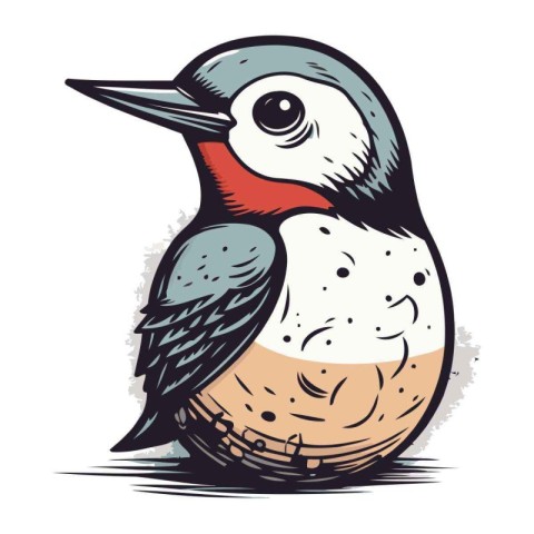 Woodpecker isolated on white background. Hand drawn vector illus