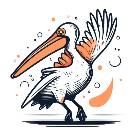 Pelican vector illustration. Isolated on white background. Hand