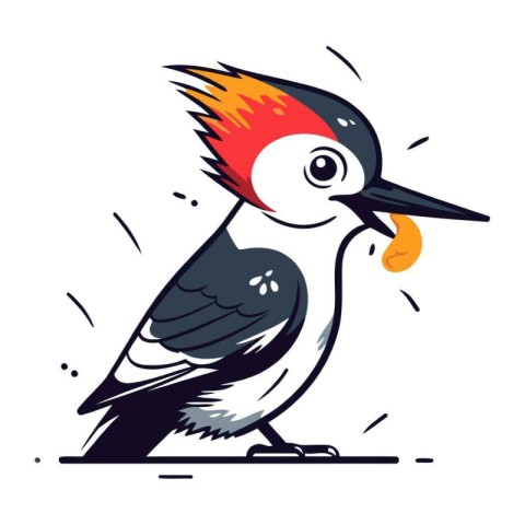 Hand drawn vector illustration of a Woodpecker. Isolated objects