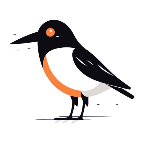 vector illustration of a cute cartoon bird isolated on a white b