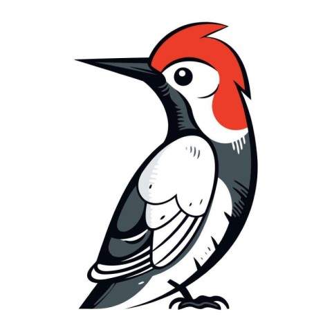 Woodpecker isolated on white background. Hand drawn vector illus