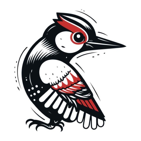 Dryocopus martius. Woodpecker vector illustration.