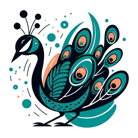 Vector illustration of a beautiful peacock on a white background