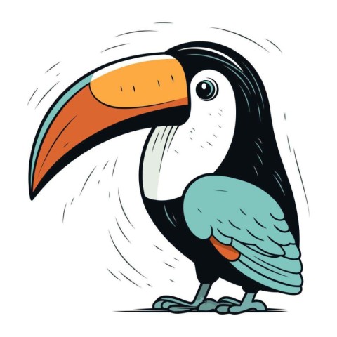 Toucan vector illustration. Cartoon toucan isolated on white bac