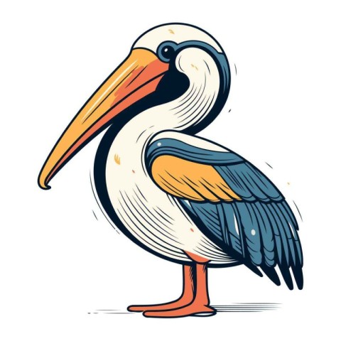 Colored vector illustration of a pelican on a white background.