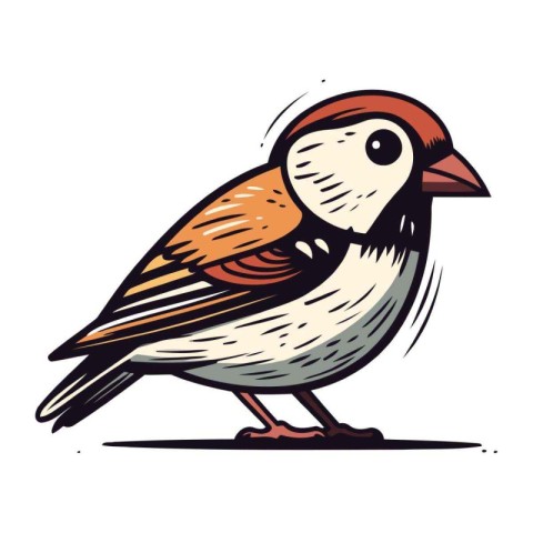 Sparrow. Hand drawn vector illustration. Isolated on white backg