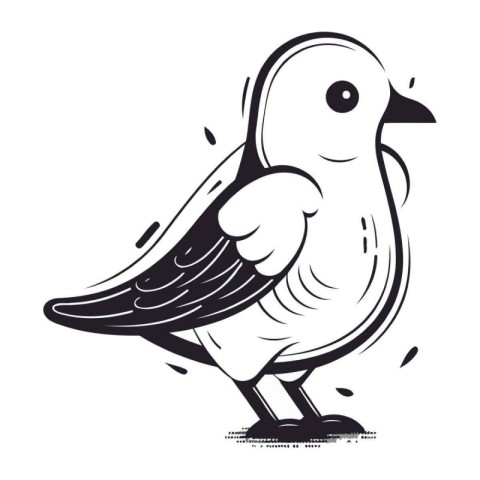 Vector image of a bird on a white background. Vector illustratio