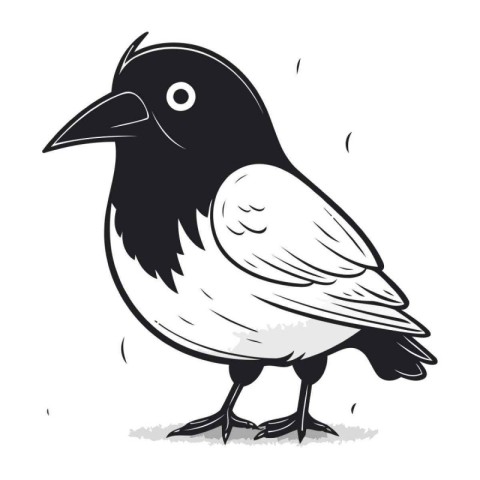 Crow on a white background. Vector illustration of a crow.