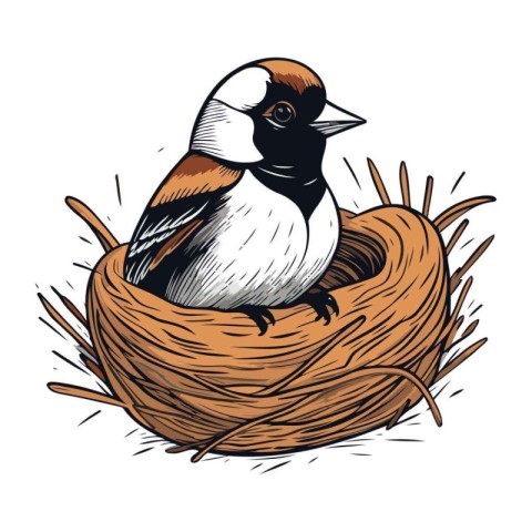 Finch sitting in the nest. Vector illustration of a bird.