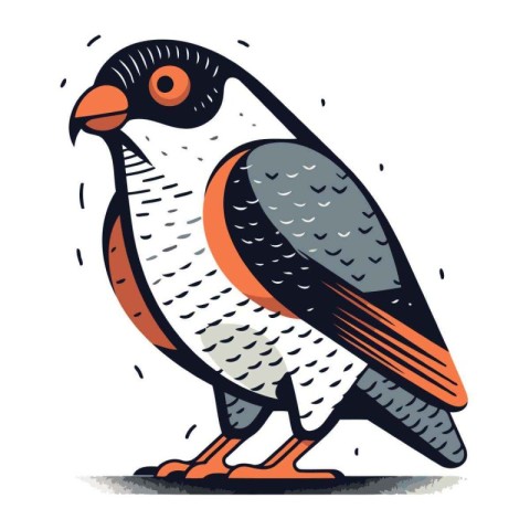 Illustration of a bullfinch. Hand drawn vector illustration.