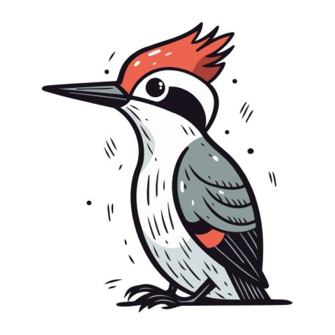 Woodpecker. Hand drawn vector illustration isolated on white bac