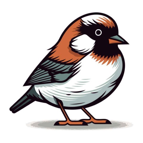 Bullfinch bird isolated on a white background. Vector illustrati