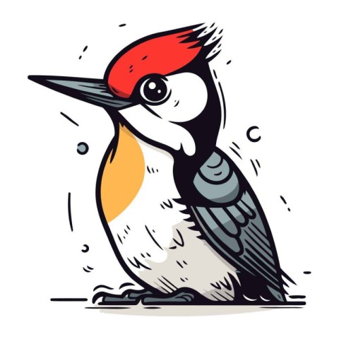 Woodpecker. Vector illustration. Isolated on white background.