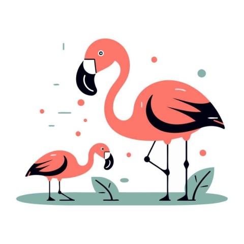 Flamingo couple. Vector illustration in flat cartoon style on wh