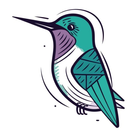 Hummingbird vector illustration in doodle style isolated on whit