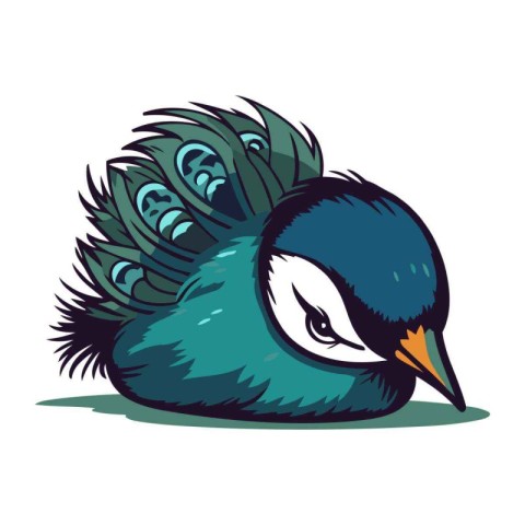 Vector illustration of a peacock in cartoon style. Isolated on w