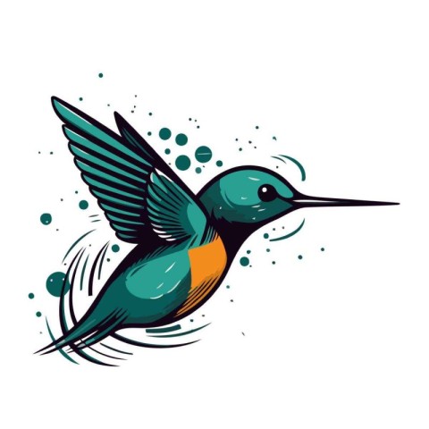 Hummingbird vector illustration. Isolated on a white background.