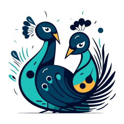 Vector illustration of a pair of peacocks on white background. F