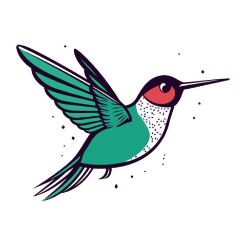 Hummingbird vector illustration in cartoon style. Isolated on wh