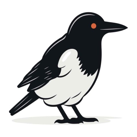 Magpie isolated on white background. Vector illustration in cart