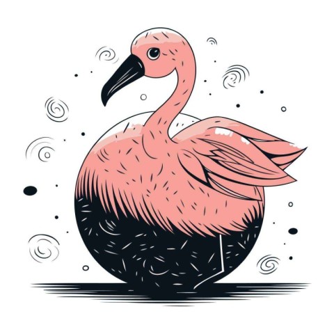 Flamingo. Hand drawn vector illustration. Isolated on white back