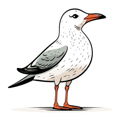 Seagull on white background. Vector illustration of a seagull.