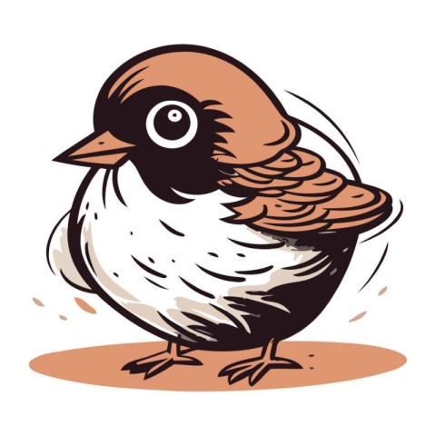 Sparrow. Vector illustration. Isolated on white background.