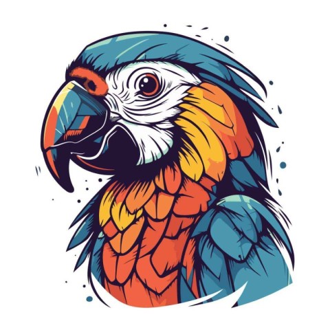 Parrot vector illustration. Isolated parrot on white background.