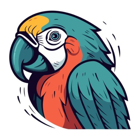 Vector illustration of a colorful macaw parrot isolated on white