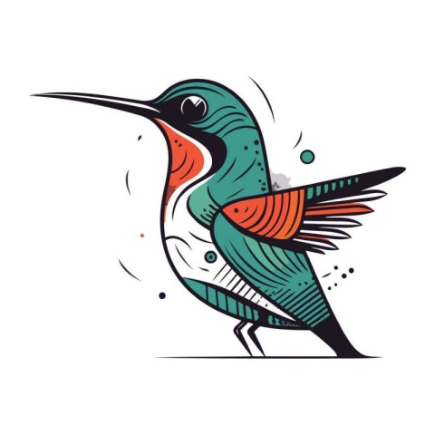 Hummingbird vector illustration. Hand drawn vector illustration