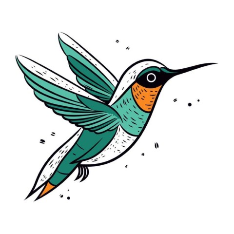 Hummingbird. Hand drawn vector illustration for your design. Col