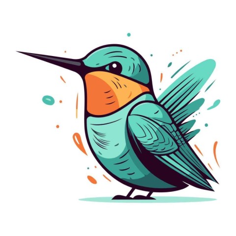 Hummingbird. Vector illustration. Isolated on white background.