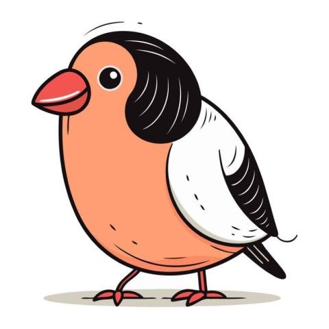 Bullfinch cartoon vector illustration isolated on white backgrou