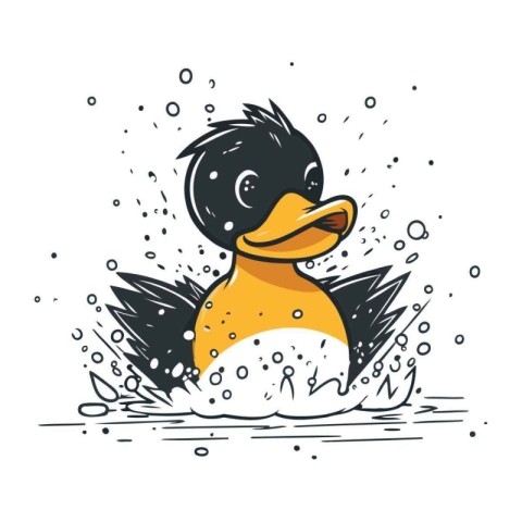 Duck in water. Vector illustration on white background. Isolated