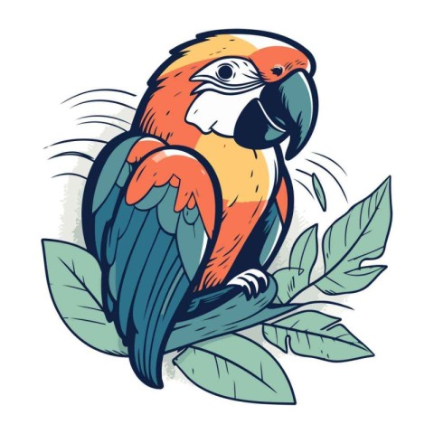 Parrot vector illustration. Isolated parrot on white background.