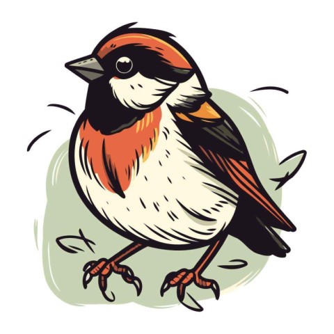 Bullfinch bird. Hand drawn vector illustration isolated on white