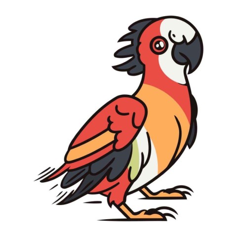 Parrot vector illustration. Isolated parrot on white background.