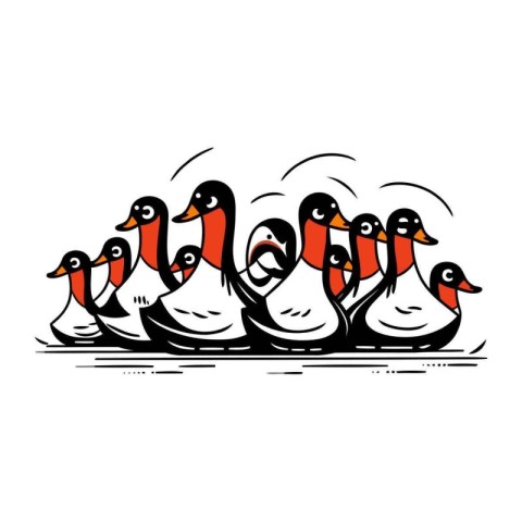 Flock of ducks isolated on a white background. Vector illustrati