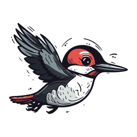 Hand drawn vector illustration of a Woodpecker. Isolated objects