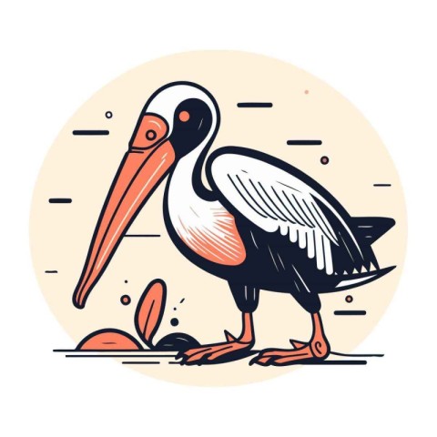 Pelican. pelican. bird vector illustration. Bird in flat style.