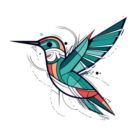 Hummingbird colorful hand drawn vector illustration isolated on